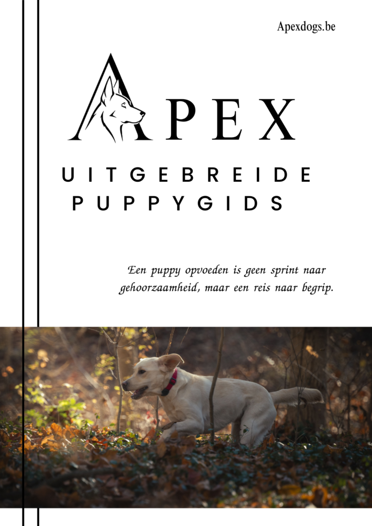 Apex Uitgebreide Puppygids - PDF